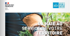 La haie au service de votre territoire