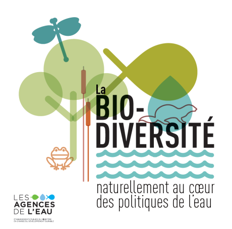 Plaquette biodiversité