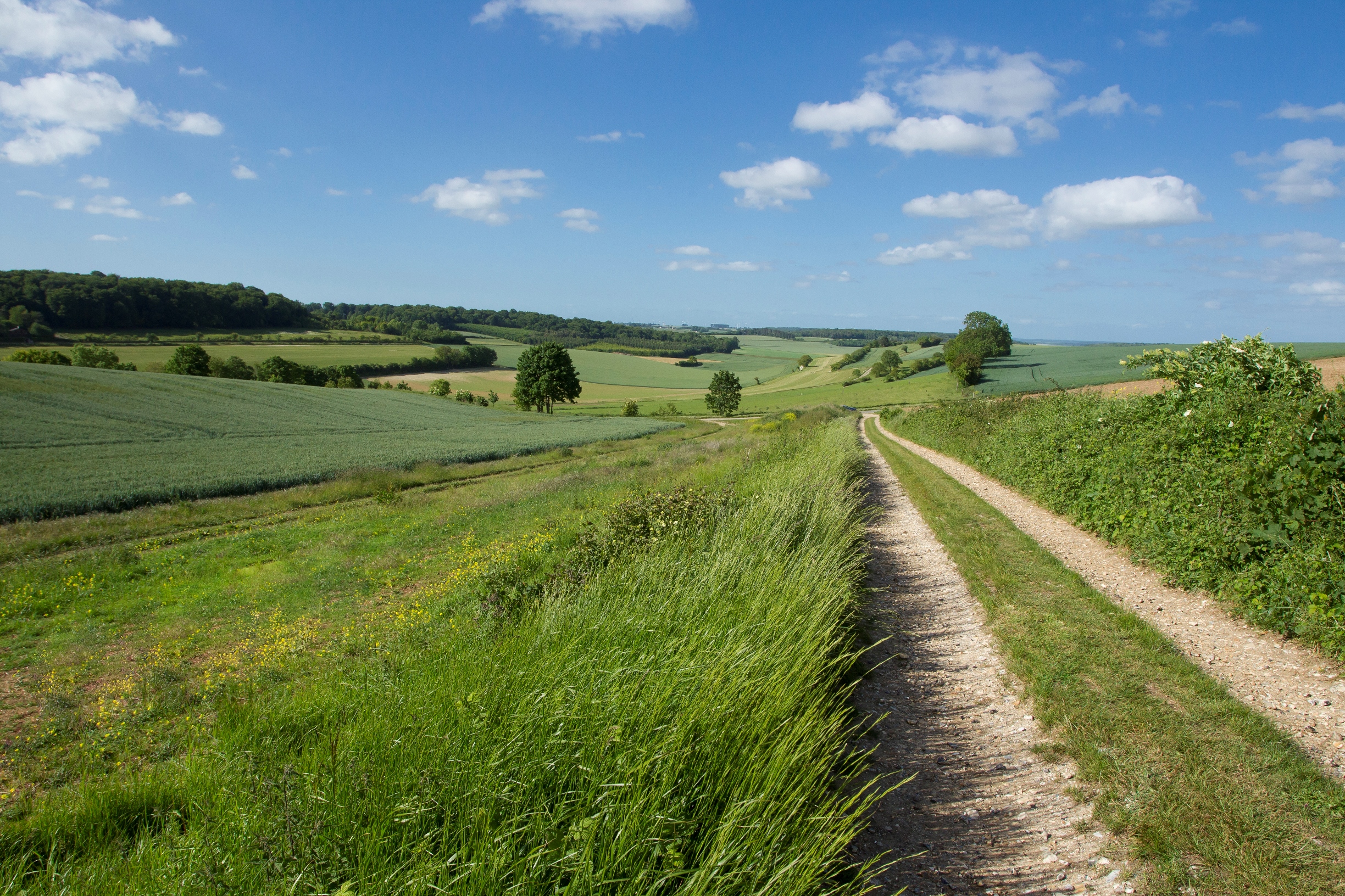 Terr'eau Bio, premier salon agricole des techniques bio en hauts-de-France