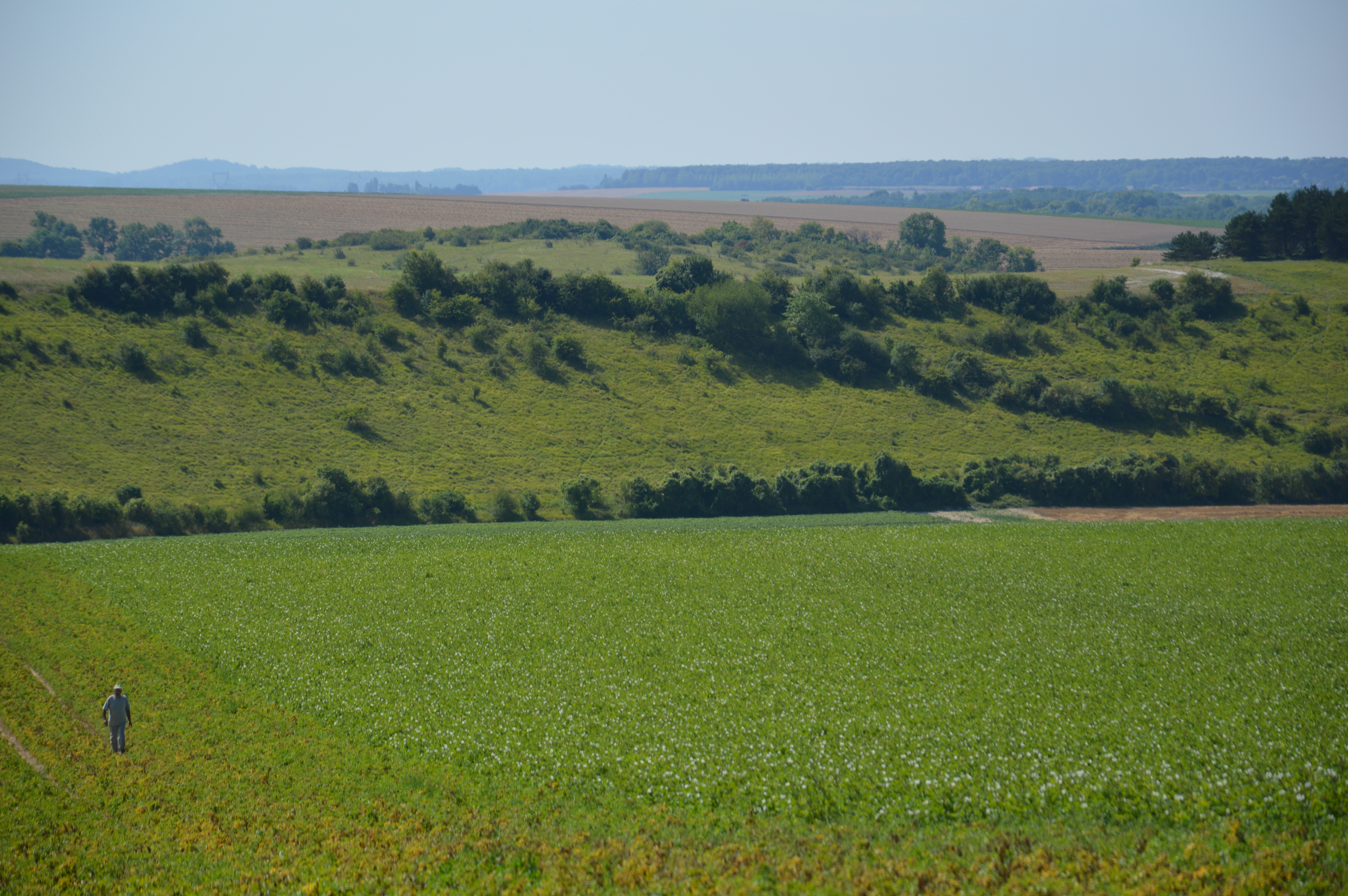 champs dans l'Oise