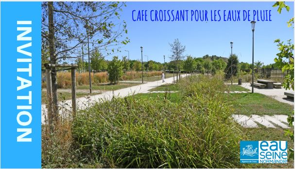 Gestion des eaux de pluie en ville