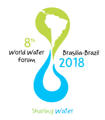 8ème forum mondiale de l'eau 