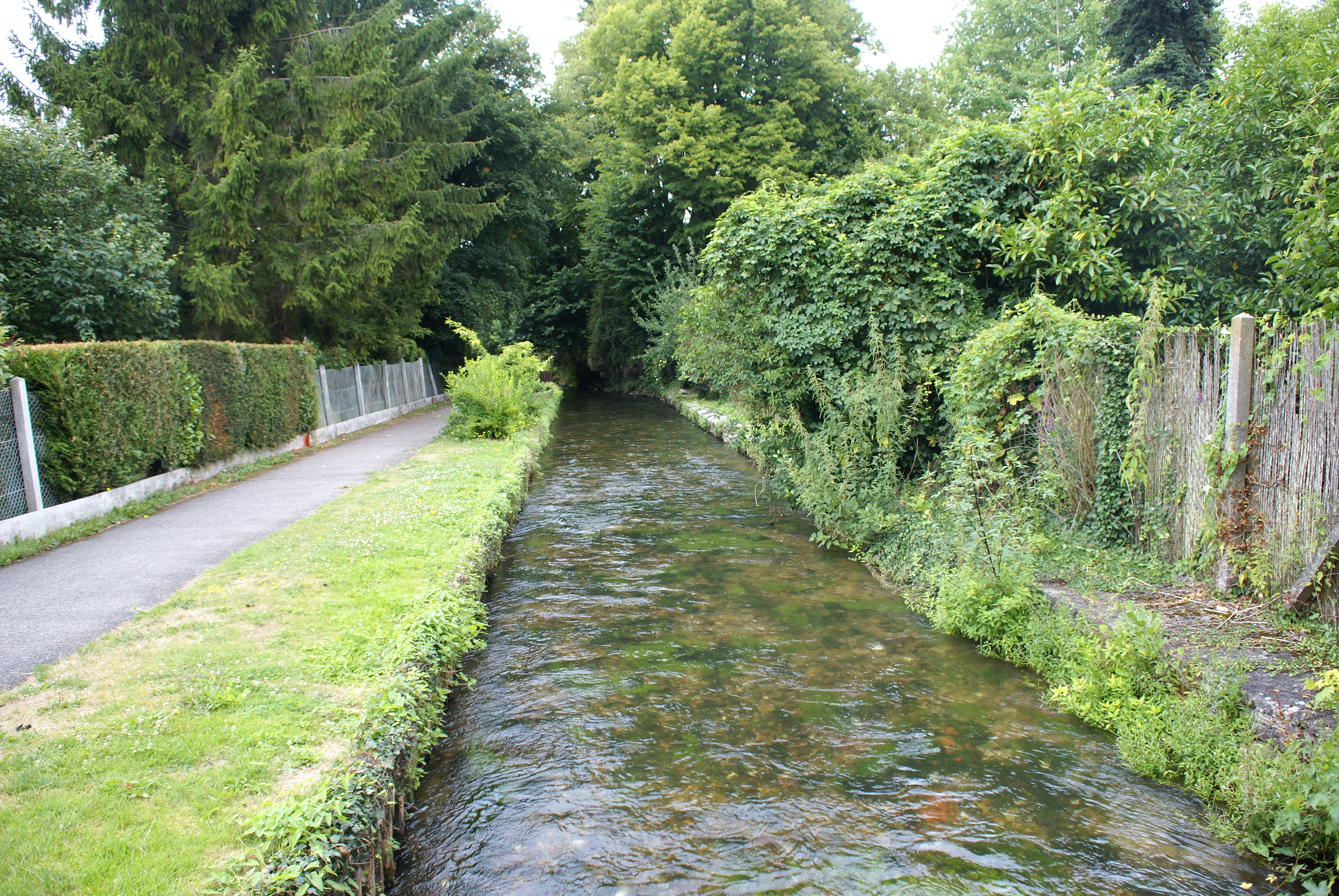 petite rivière urbaine