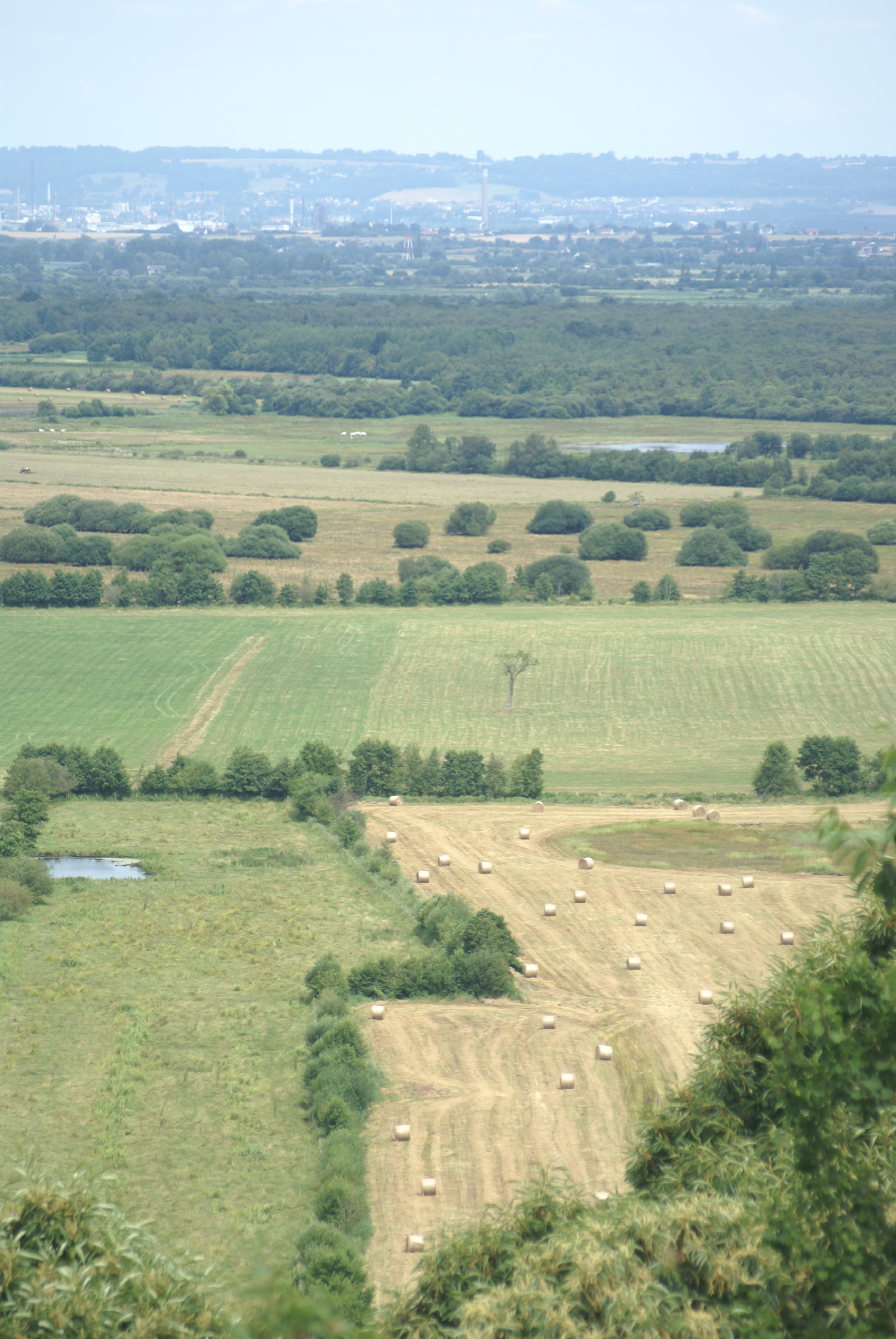 bocages du marais vernier