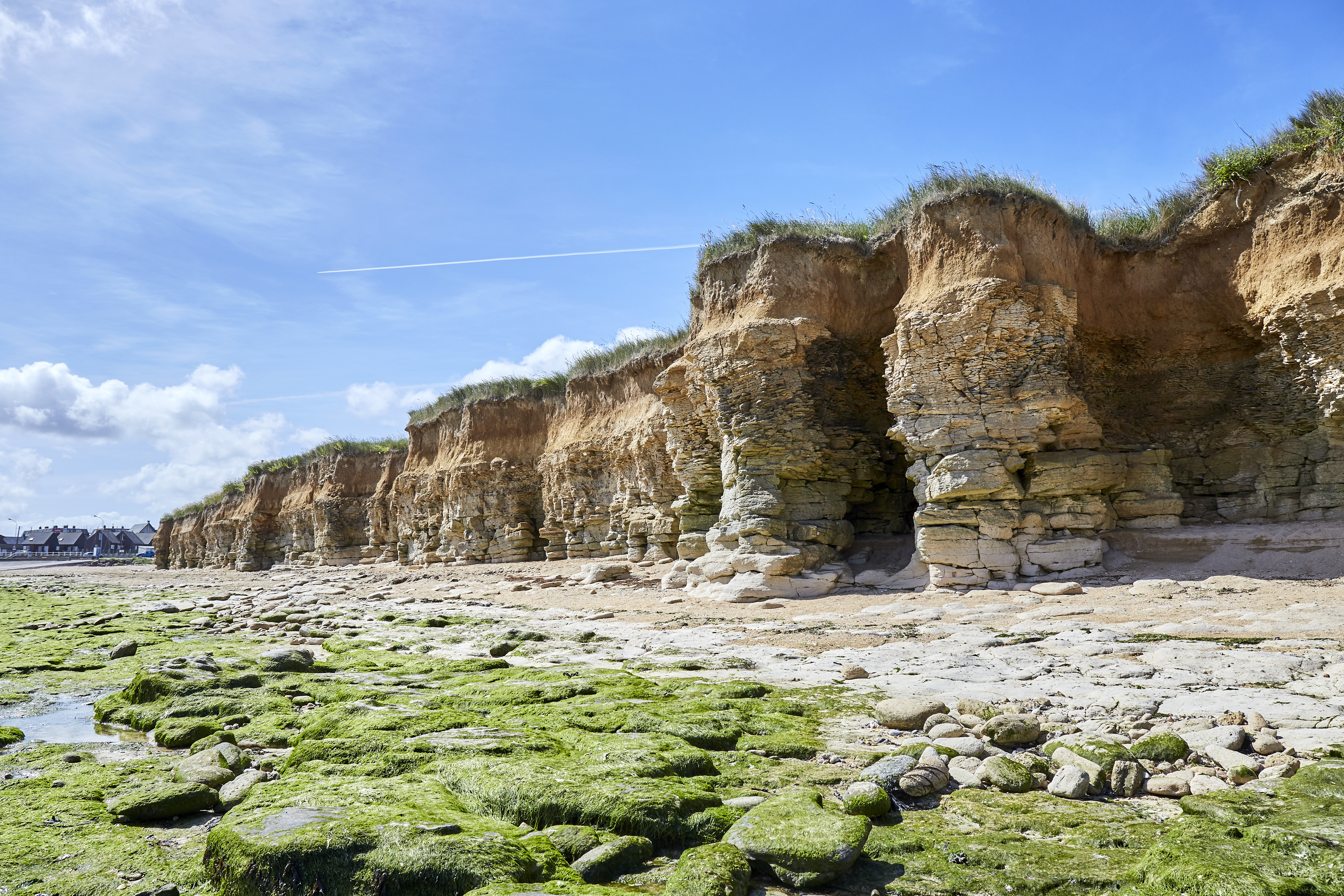 Falaises de lion sur mer 