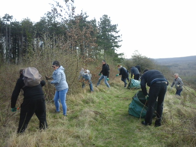 chantier nature 