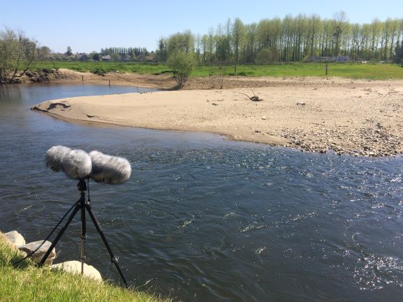 Prise de son auprès d'un cours d'eau