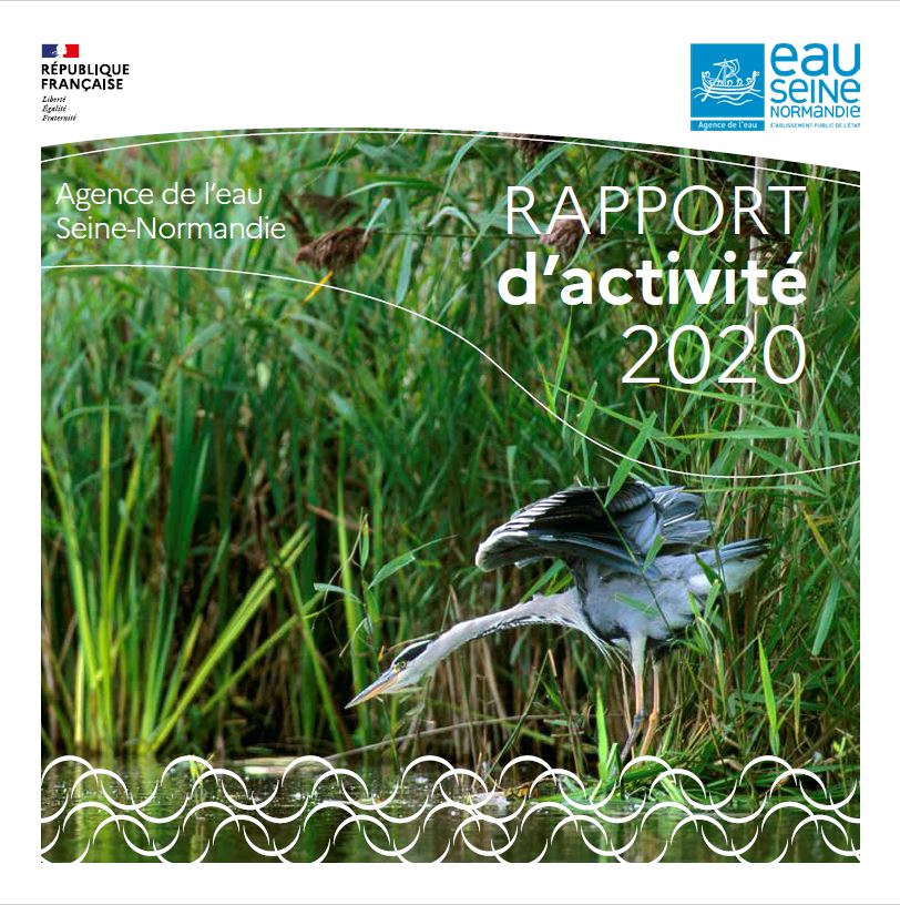 Rapport d'activité 2020