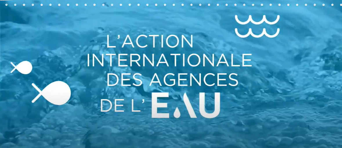vignette bleue avec un poisson et écrit l'action internationale des agences de l'eau 