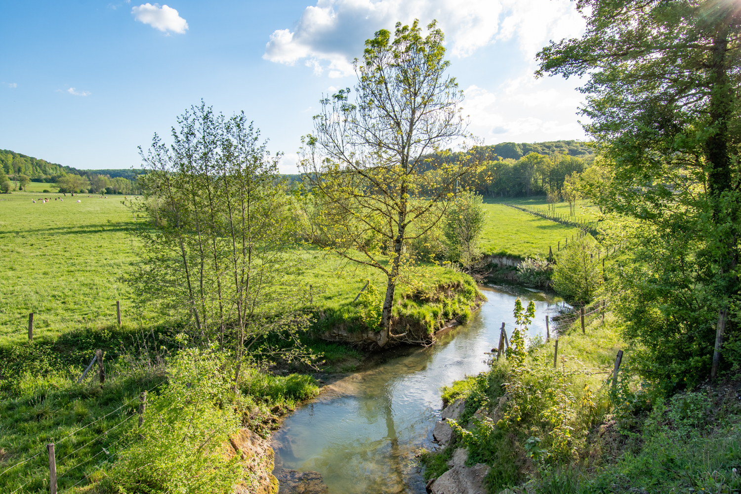 paysage de rivière - la digeanne