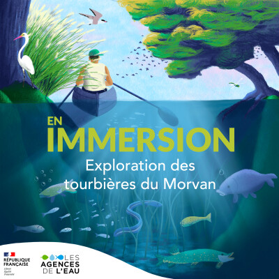 vignette en immersion 