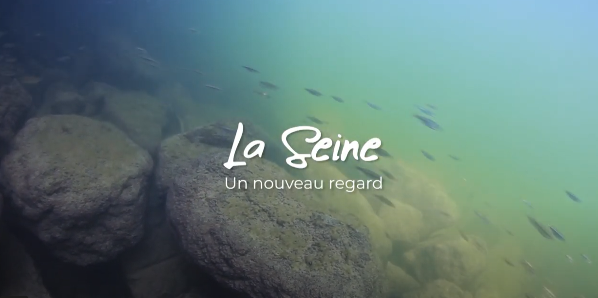 texte la seine un nouveau regard sur une photo de rivière avec des poissons 