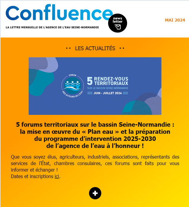 couverture de la newsletter 31 