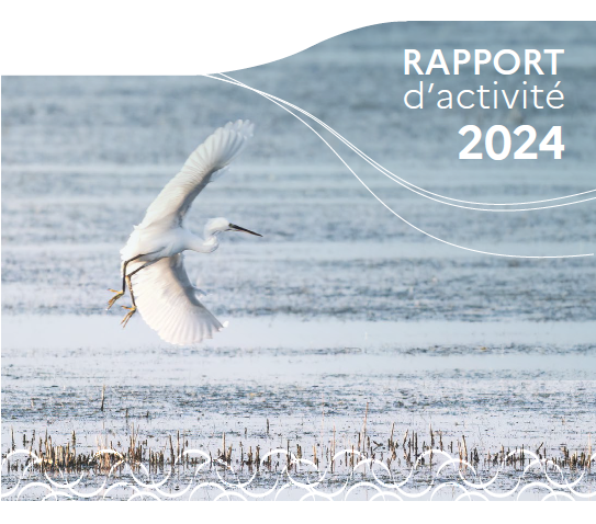 rapport d'activité