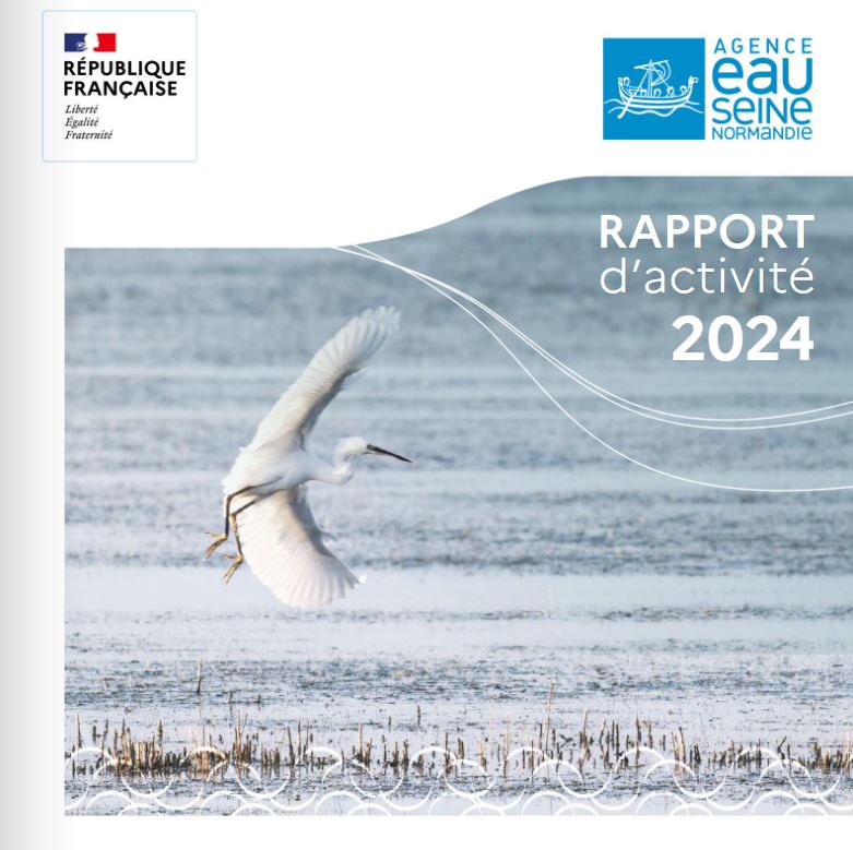 Couverture du rapport d'activités 2024