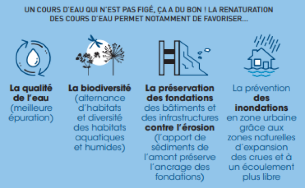 infographie hydromorphologie
