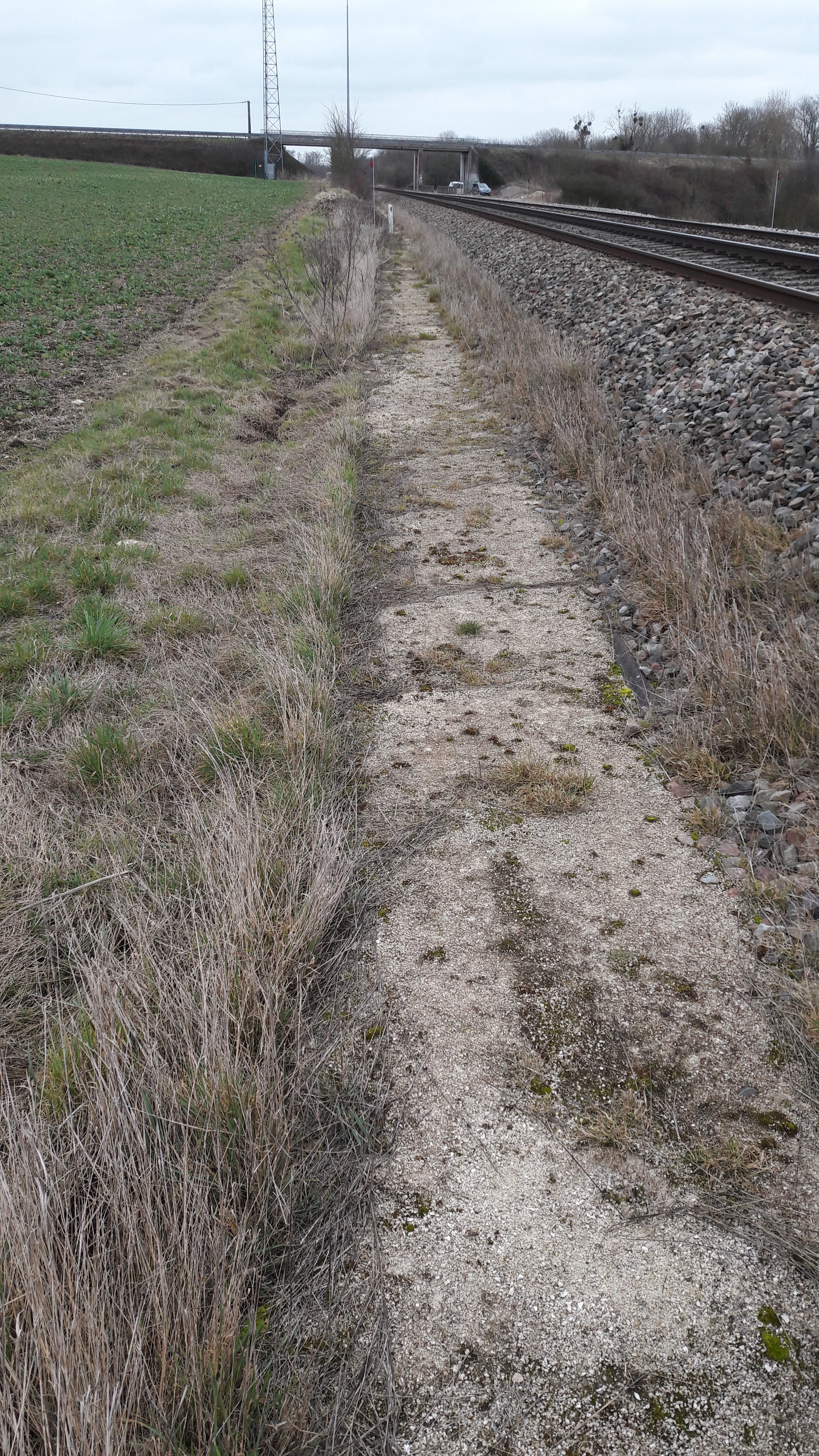 gestion raisonnée