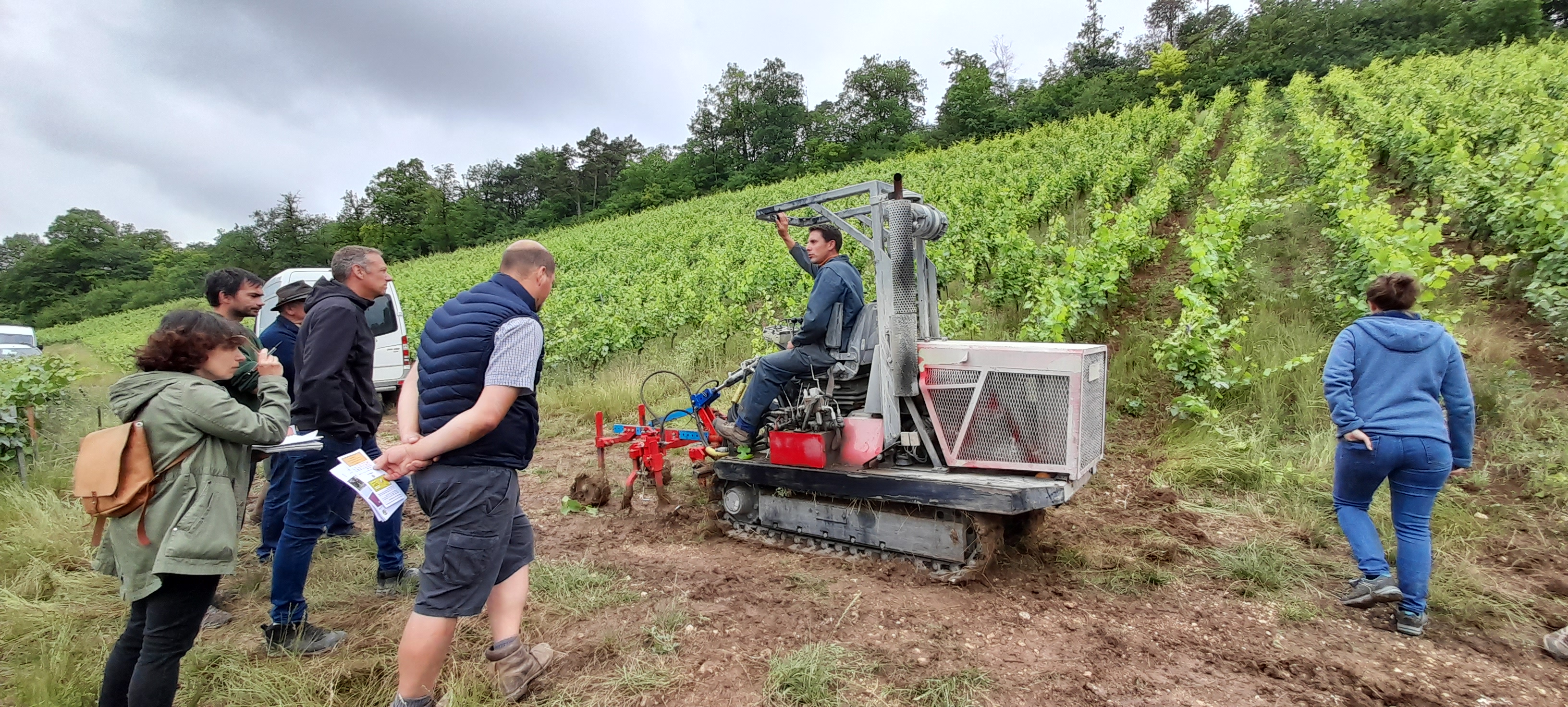 personnes dans les vignes avec un tracteur