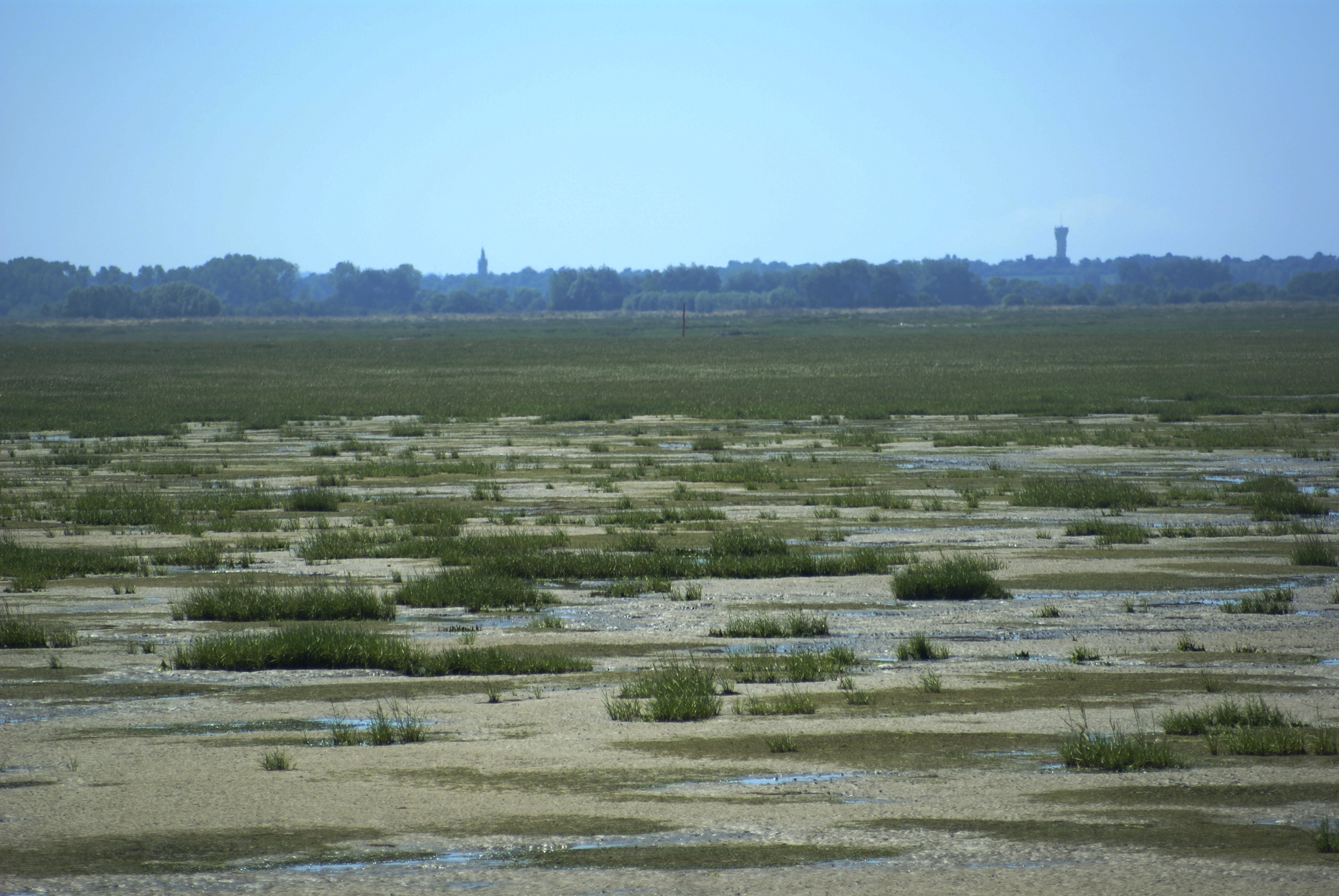 Baie des veys