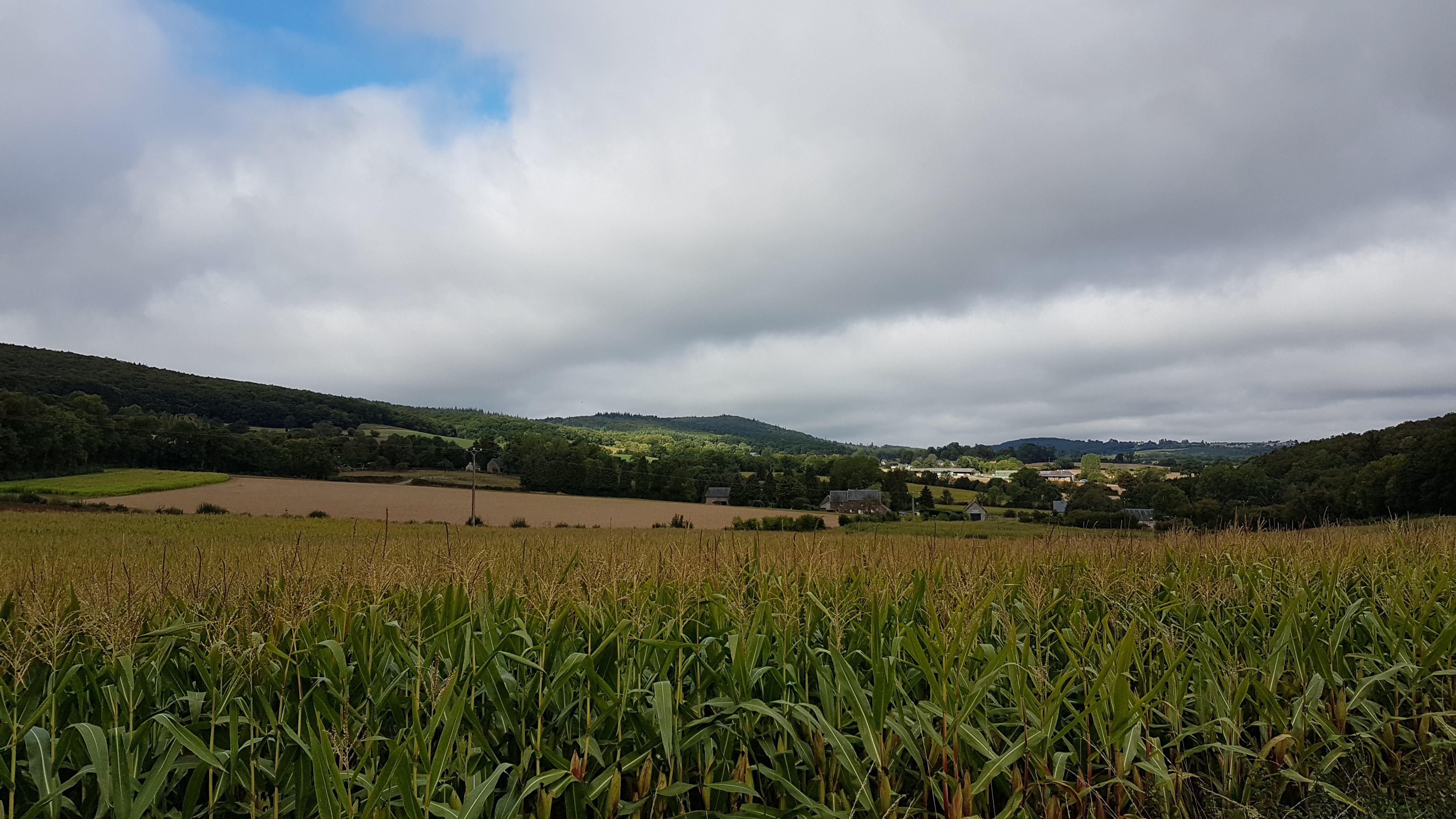 Vue globale photo illustrant agriculture