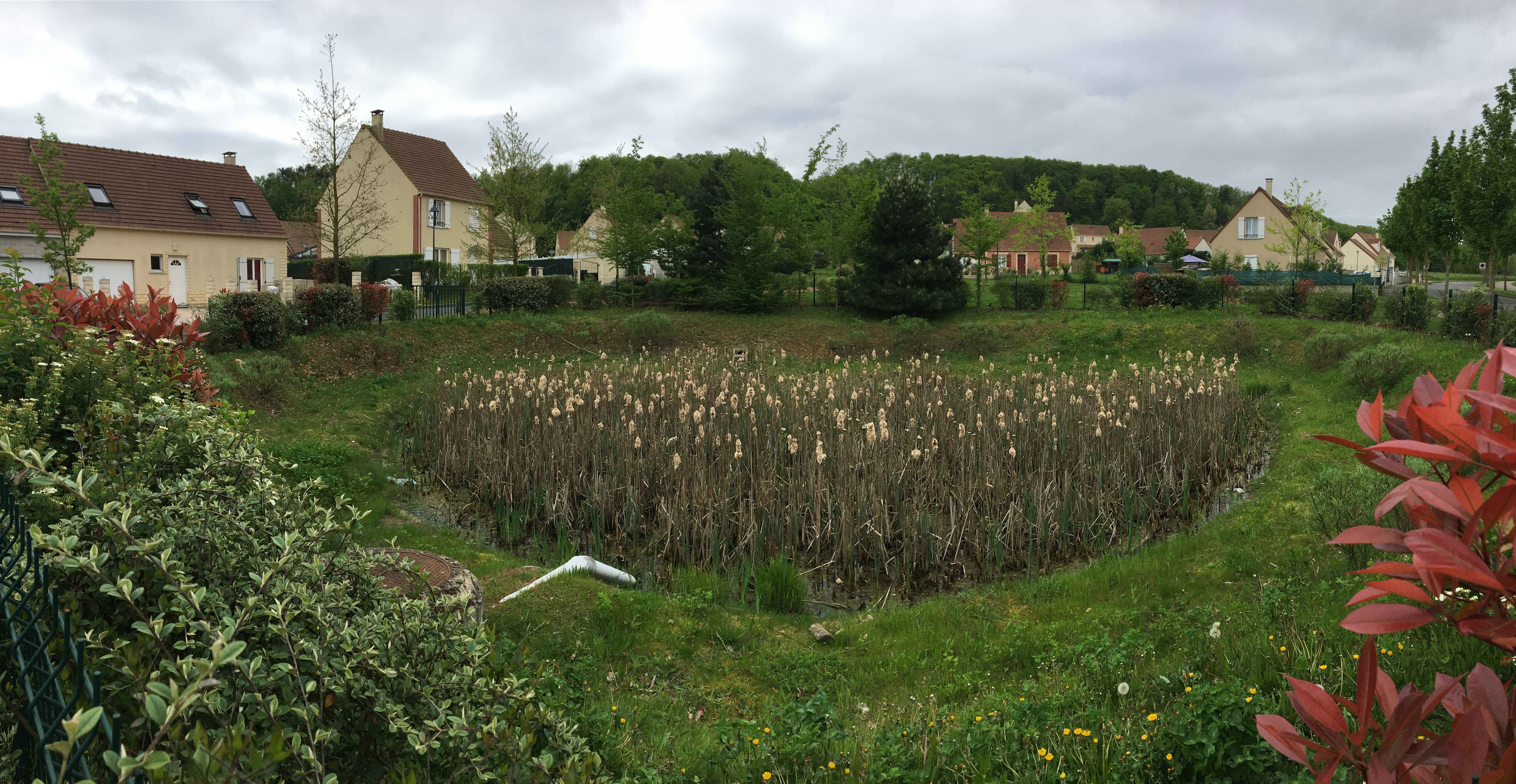 zone tampon dans lotissement 