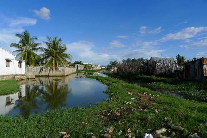 Projet madagascar