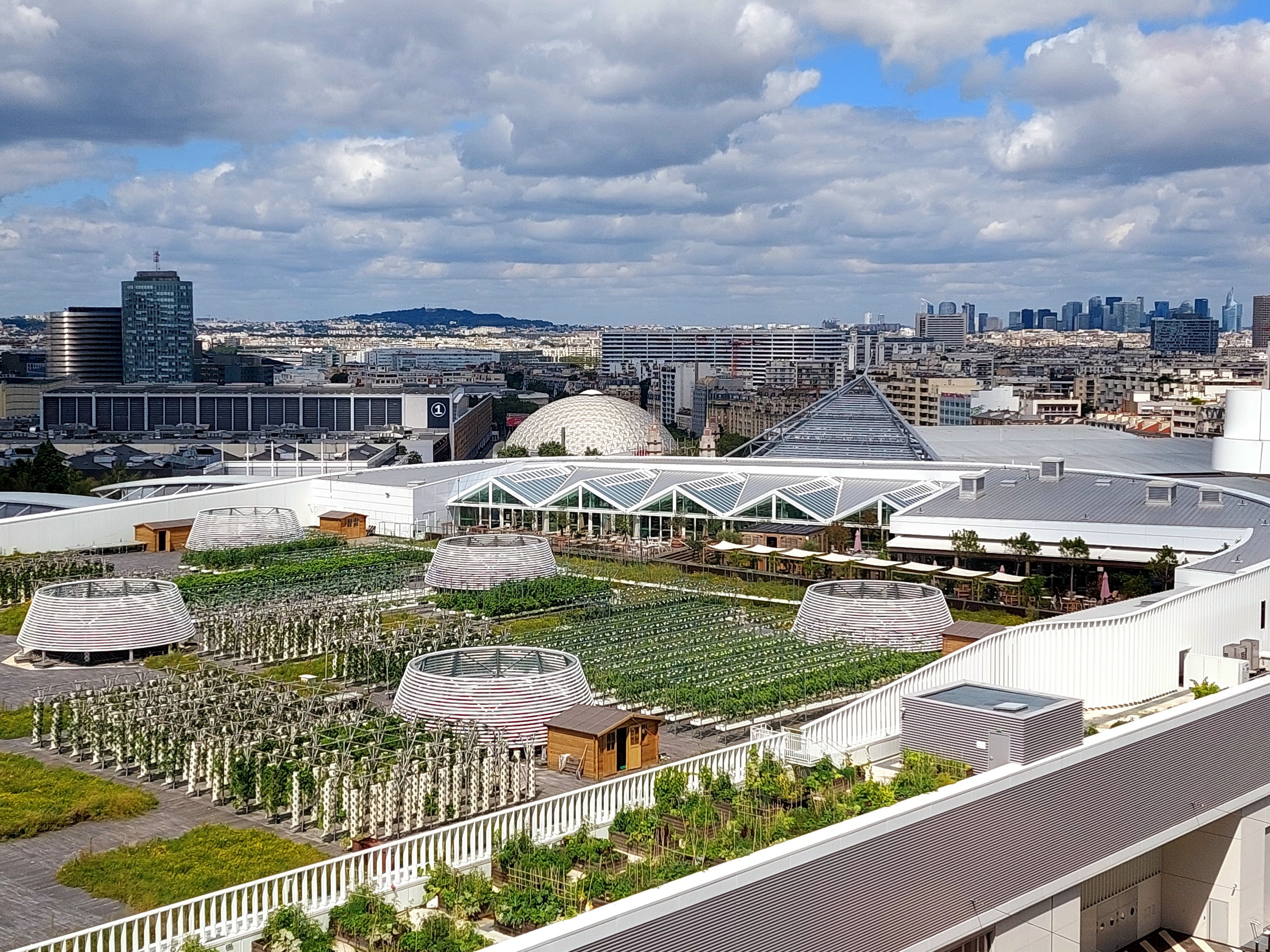 Crédit photo : Nature Urbaine, conçue, installée et exploitée par AGRIPOLIS