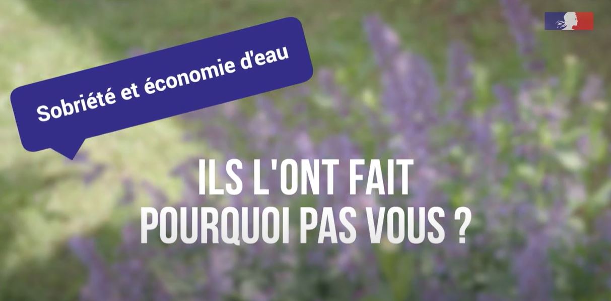 capture d'écran 