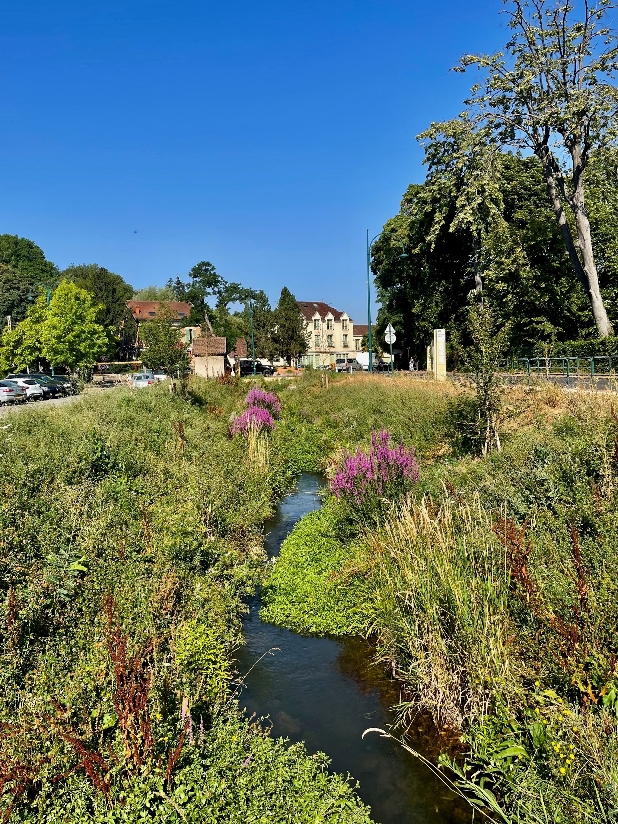 La bièvre