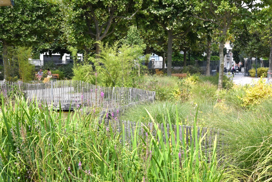 espaces vegetalisés 