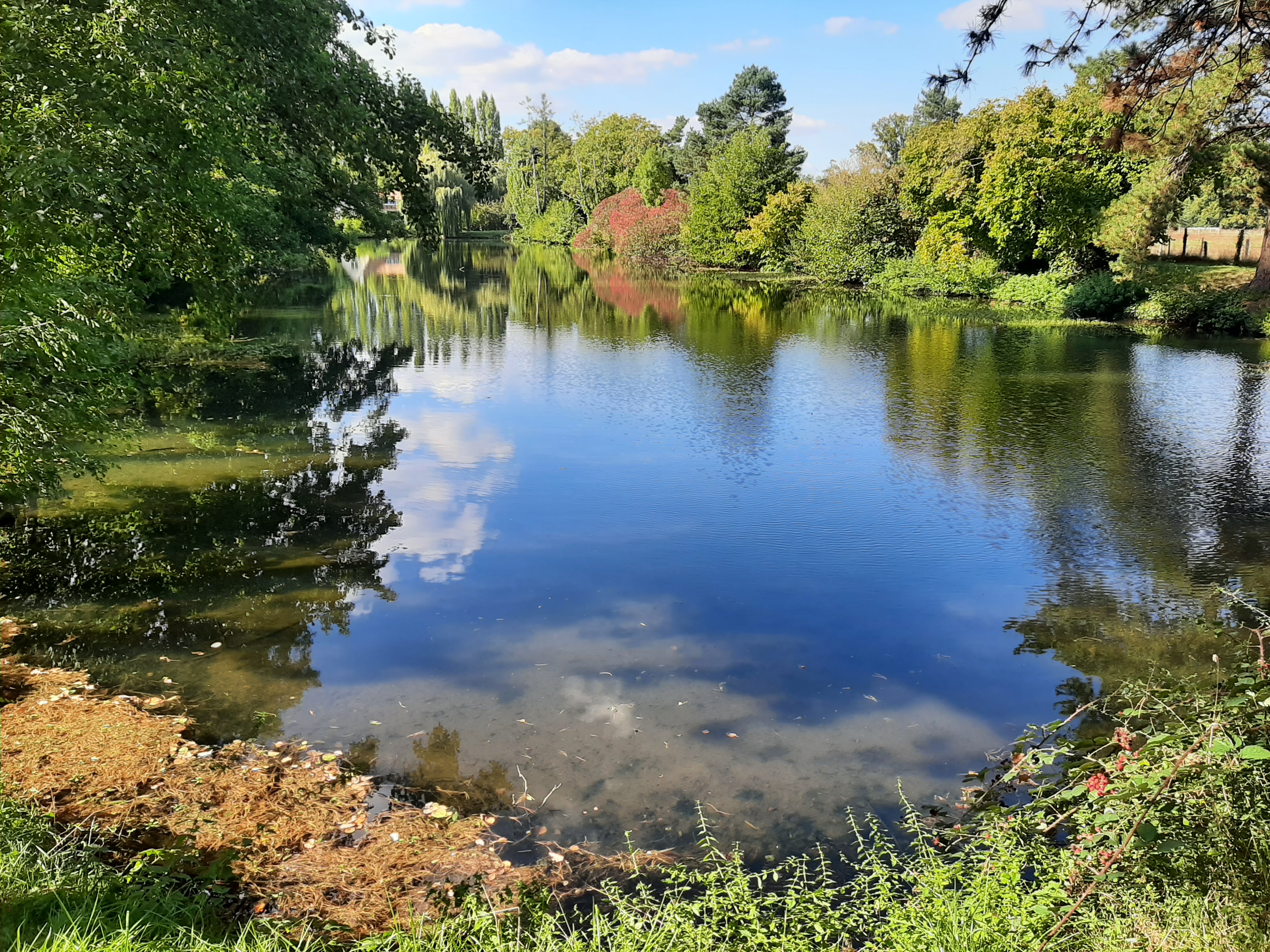 Photo paysage plan d'eau 