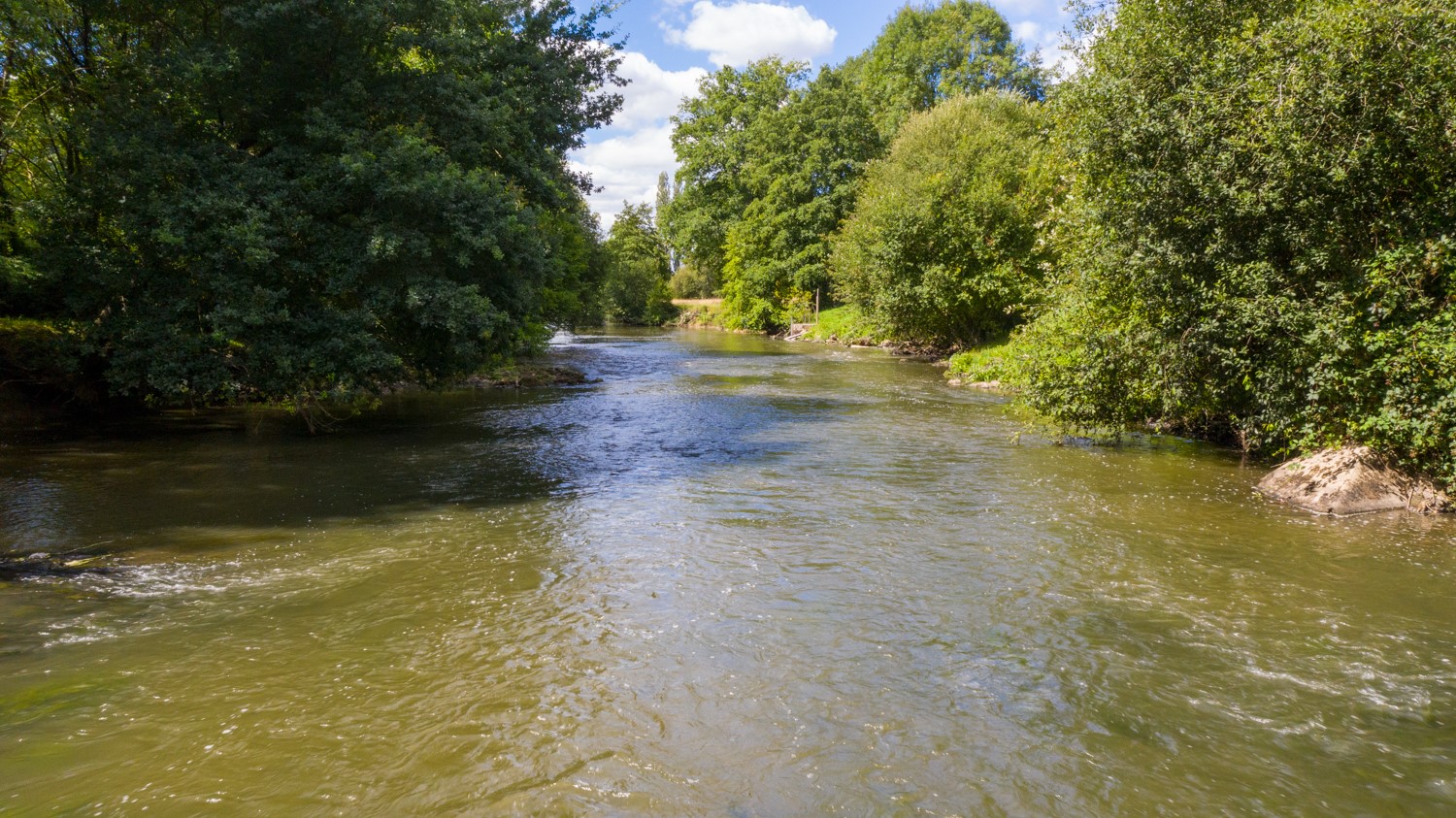 riviere