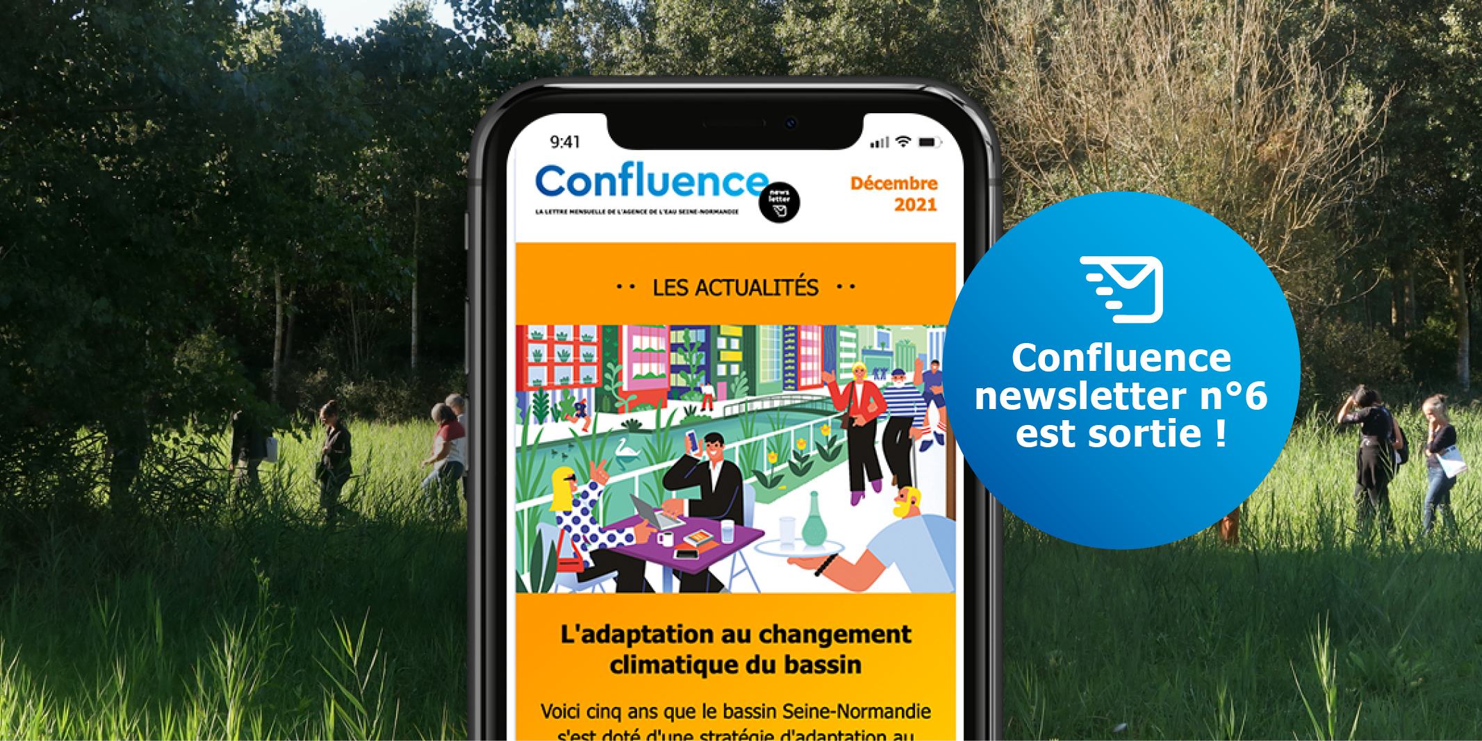Confluence - newsletter 1