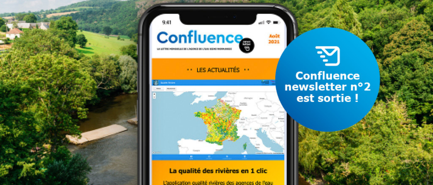 Confluence - newsletter 2