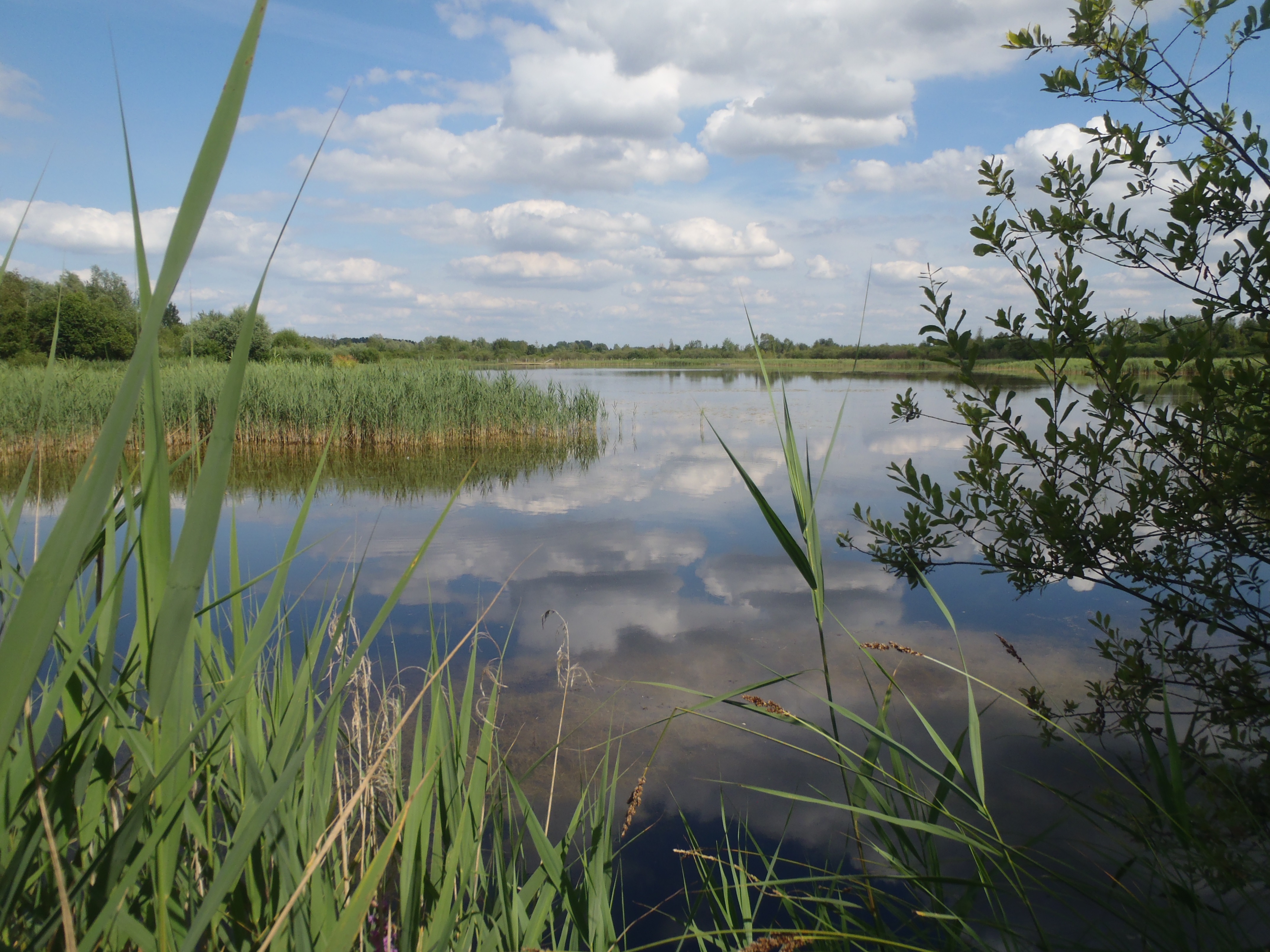 Plan d'eau de sacy 