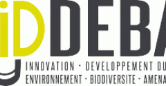 logo iddeba