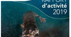 couverture Rapport d'activité 2019