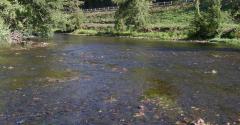 rivière orne