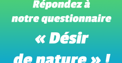 logo questionnaire 