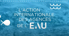 vignette bleue avec un poisson et écrit l'action internationale des agences de l'eau 