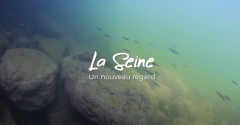 texte la seine un nouveau regard sur une photo de rivière avec des poissons 