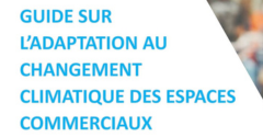 image décorative