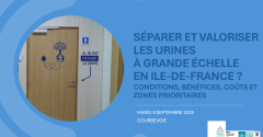 image décorative