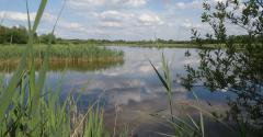 Plan d'eau de sacy 