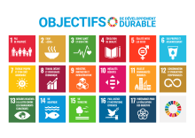 objectifs de développement durable de l'ONU