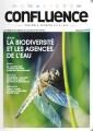 Confluence 63